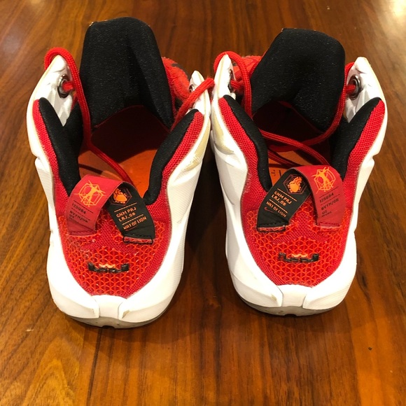 Nike LeBron 12 “Heart of A Lion” shoe - Picture 2 of 8